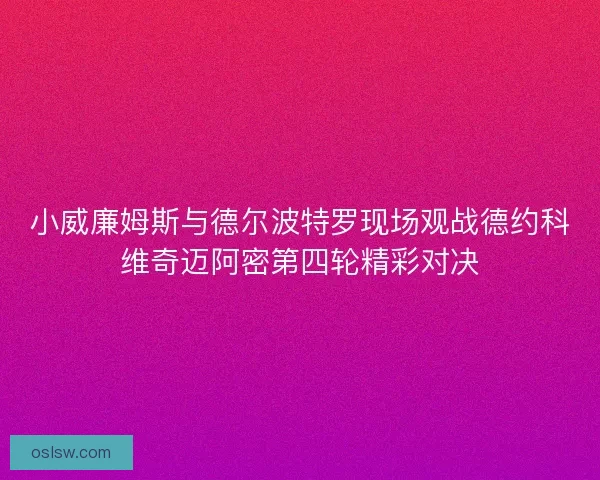 小威廉姆斯与德尔波特罗现场观战德约科维奇迈阿密第四轮精彩对决