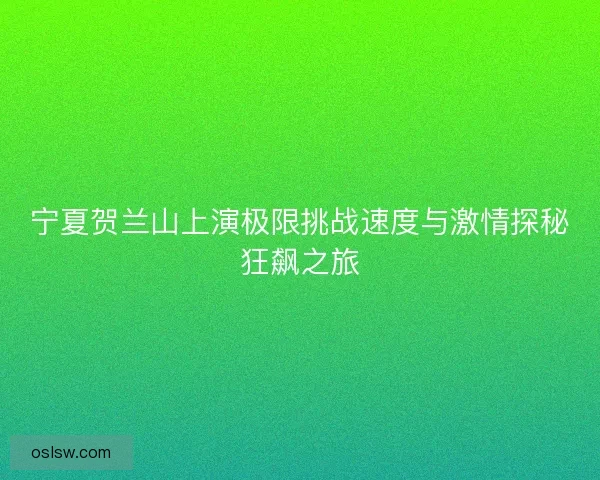 宁夏贺兰山上演极限挑战速度与激情探秘狂飙之旅