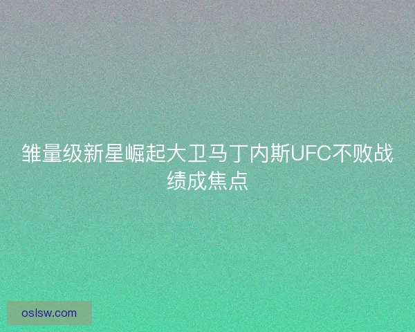 雏量级新星崛起大卫马丁内斯UFC不败战绩成焦点